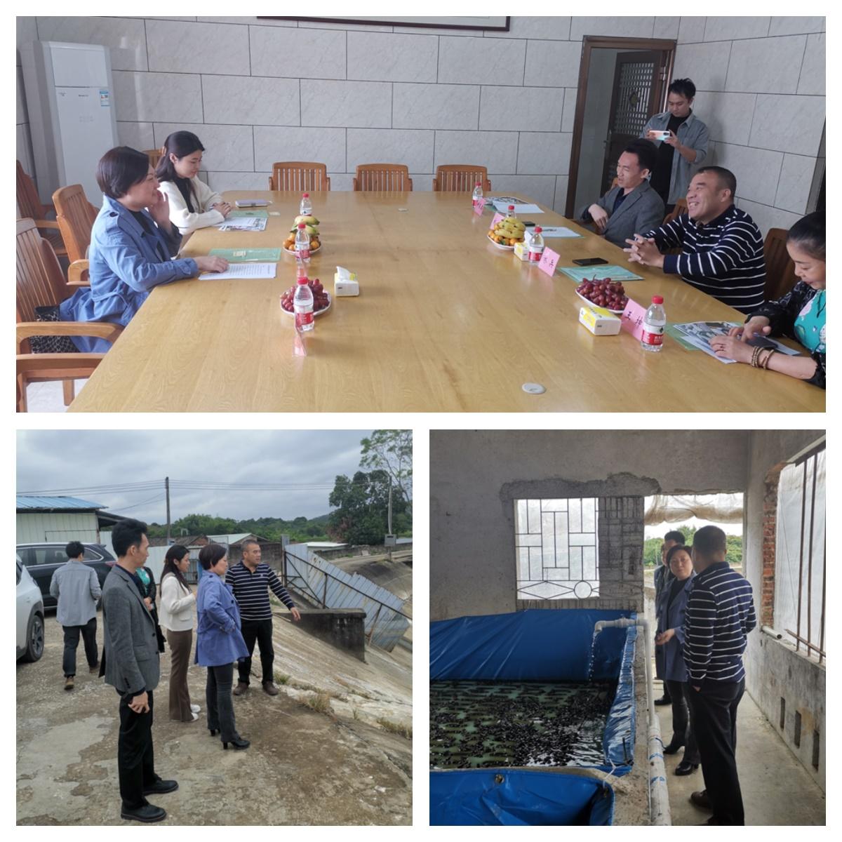 ��ҳ- �ڲ���������Ϊ��,רҵ����!