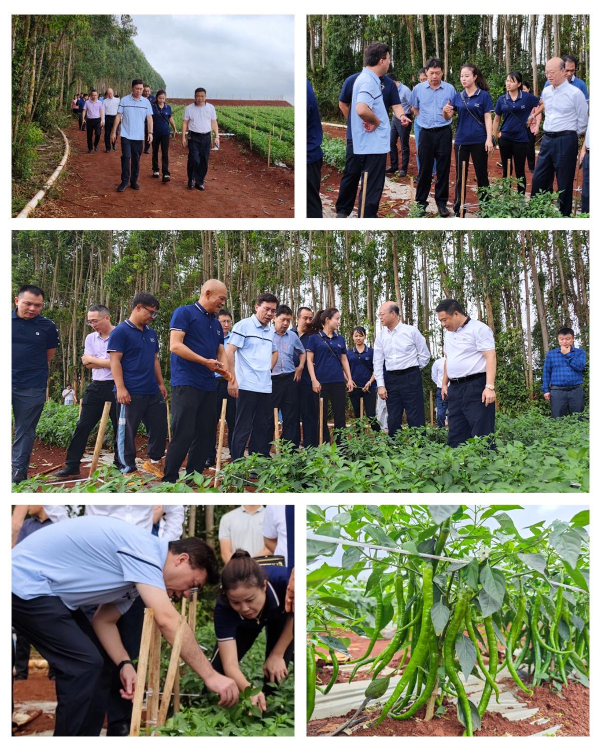 ��ҳ- �ڲ���������Ϊ��,רҵ����!