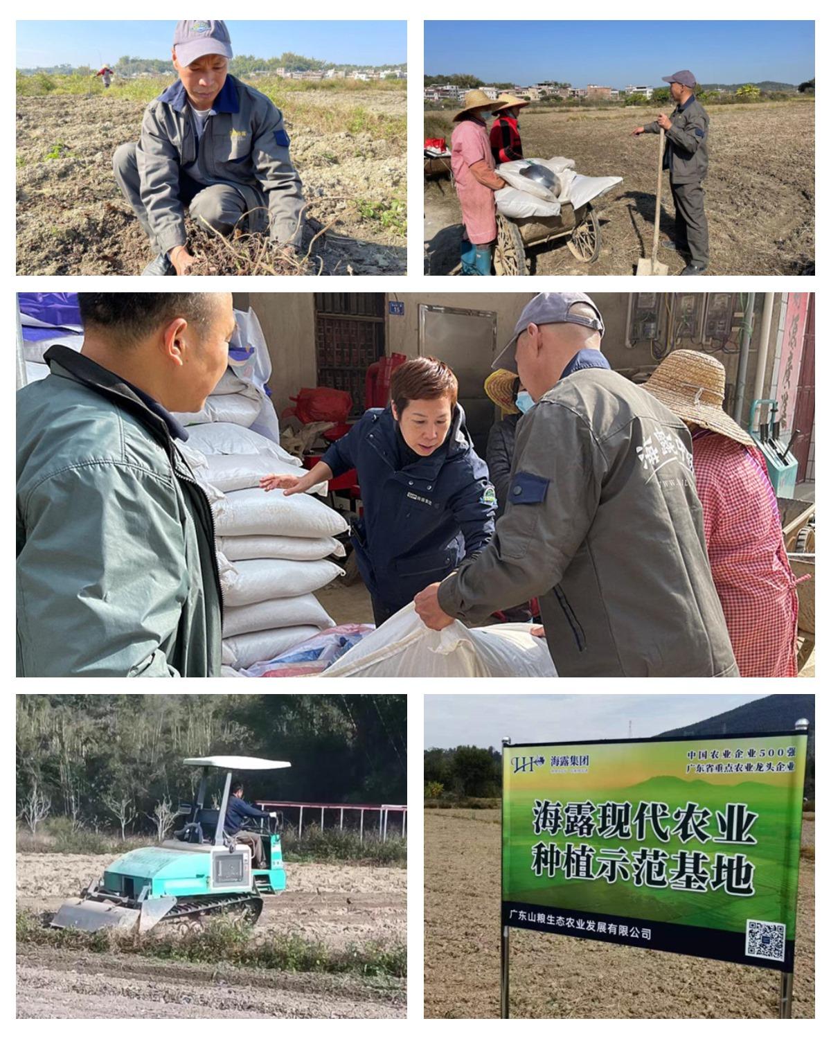 ��ҳ- �ڲ���������Ϊ��,רҵ����!