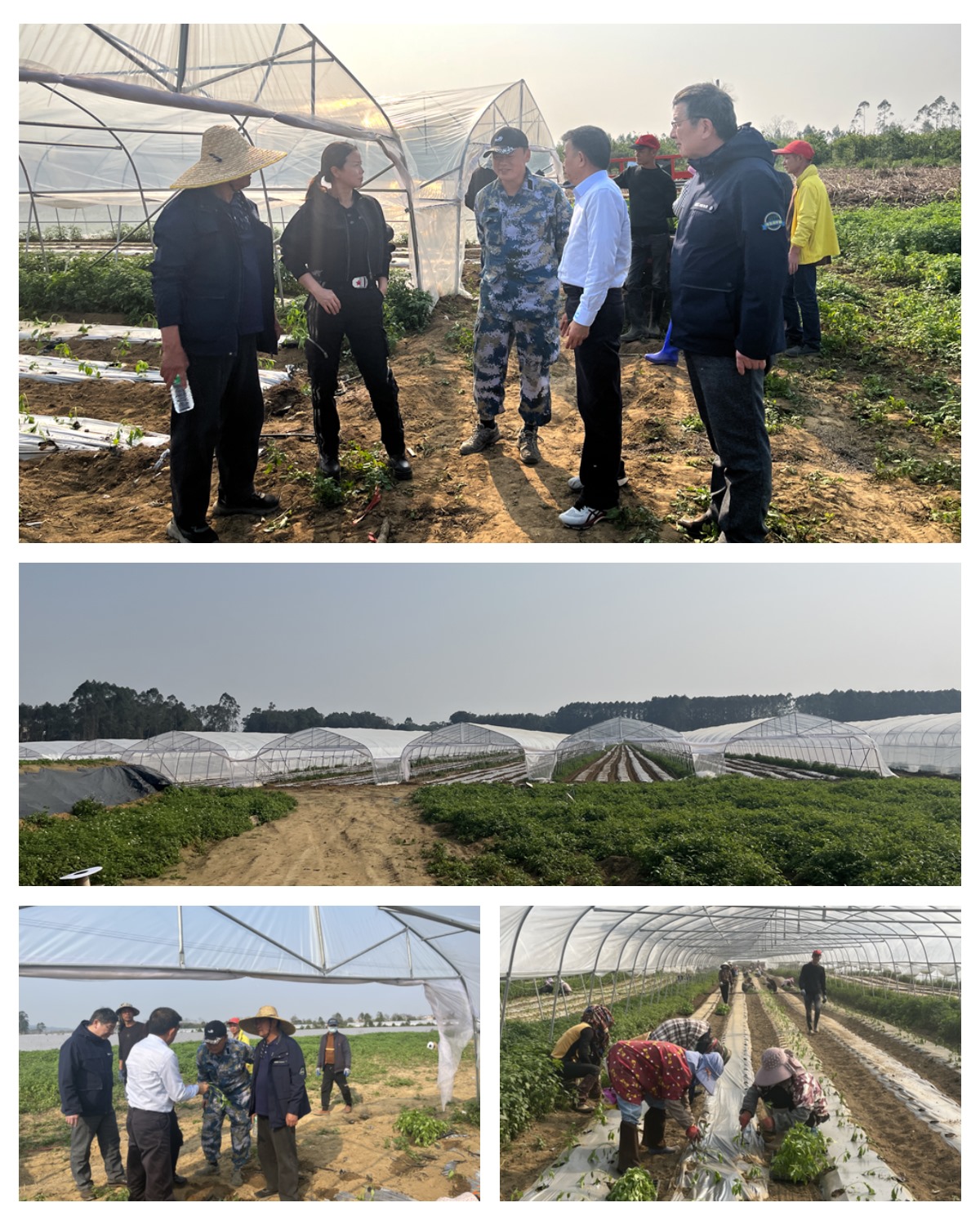 ��ҳ- �ڲ���������Ϊ��,רҵ����!