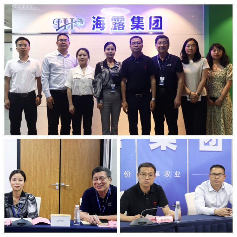 ��ҳ- �ڲ���������Ϊ��,רҵ����!