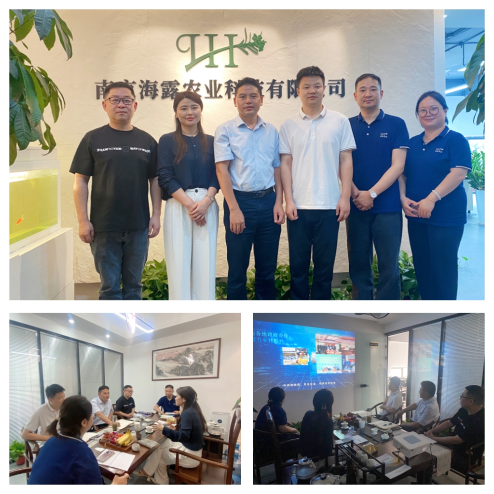 ��ҳ- �ڲ���������Ϊ��,רҵ����!