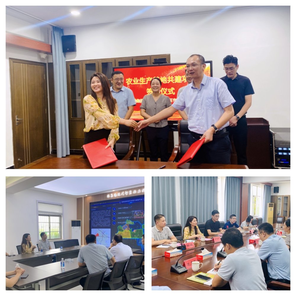 ��ҳ- �ڲ���������Ϊ��,רҵ����!