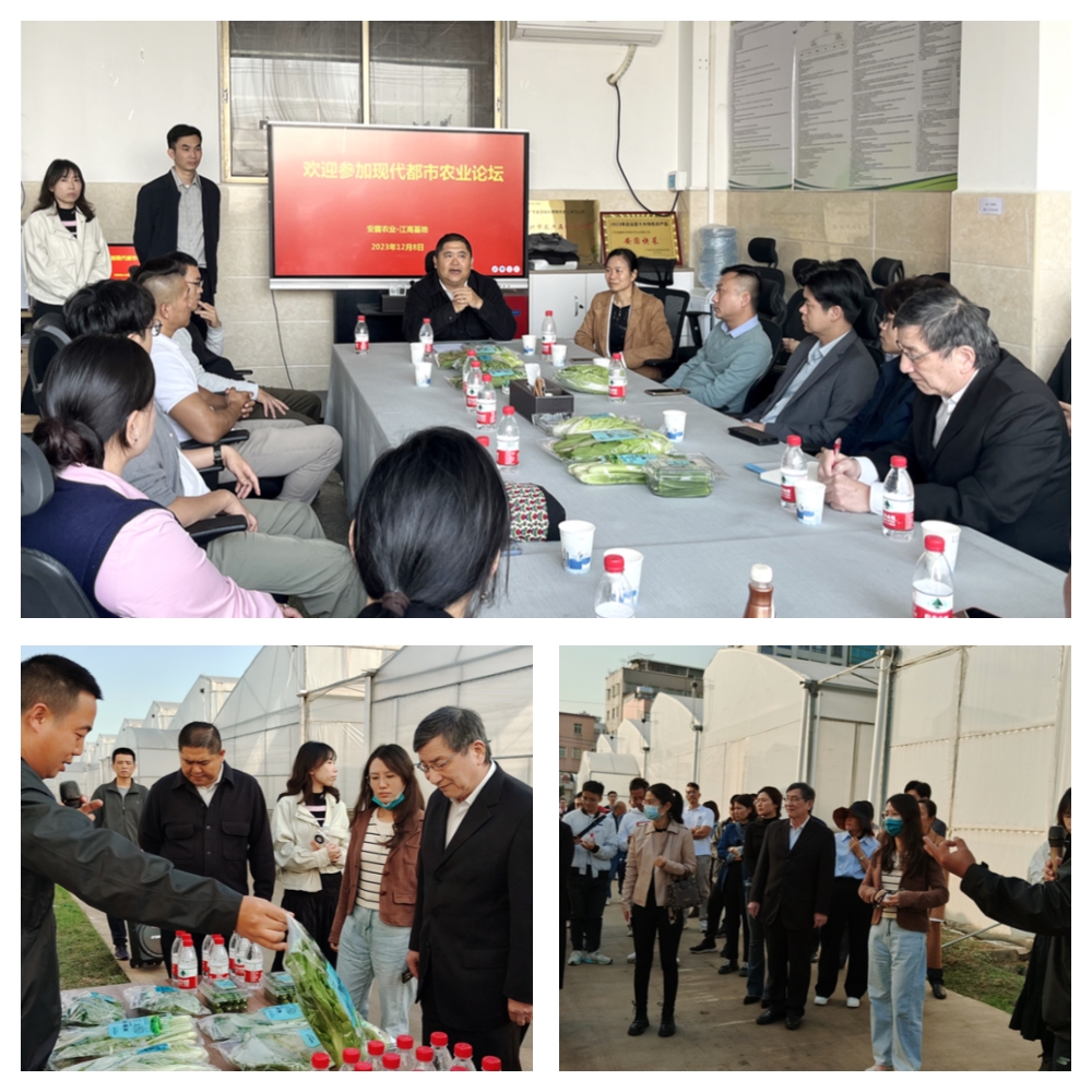 ��ҳ- �ڲ���������Ϊ��,רҵ����!