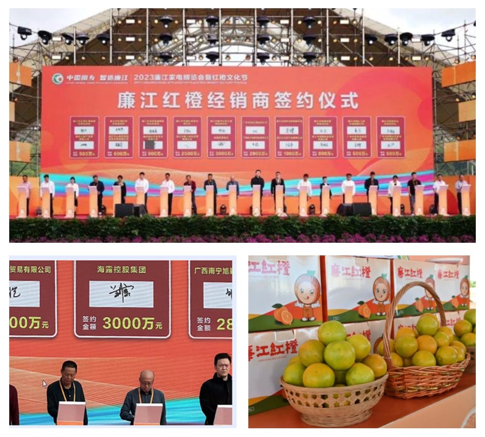 ��ҳ- �ڲ���������Ϊ��,רҵ����!