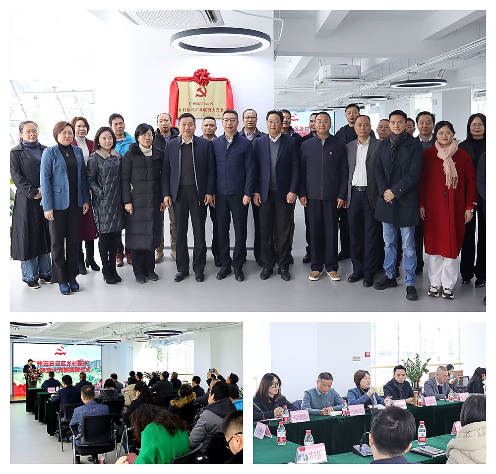 ��ҳ- �ڲ���������Ϊ��,רҵ����!