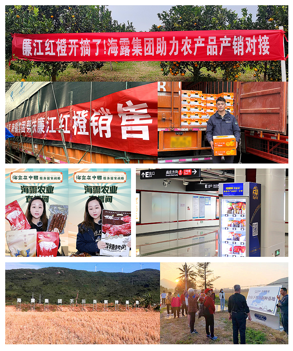 ��ҳ- �ڲ���������Ϊ��,רҵ����!