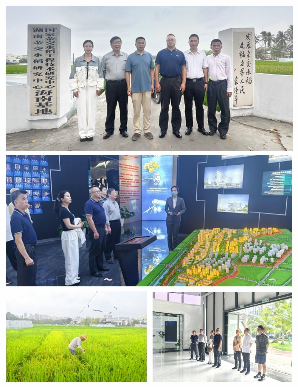 ��ҳ- �ڲ���������Ϊ��,רҵ����!