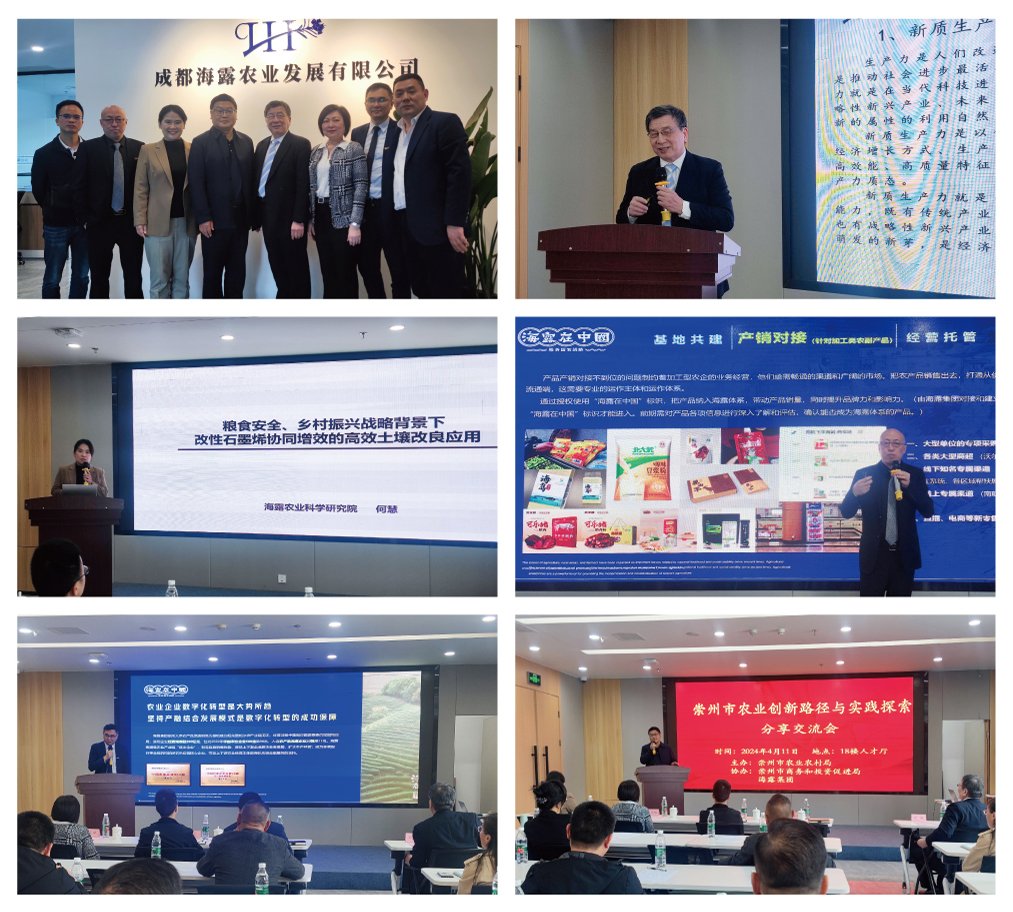 ��ҳ- �ڲ���������Ϊ��,רҵ����!