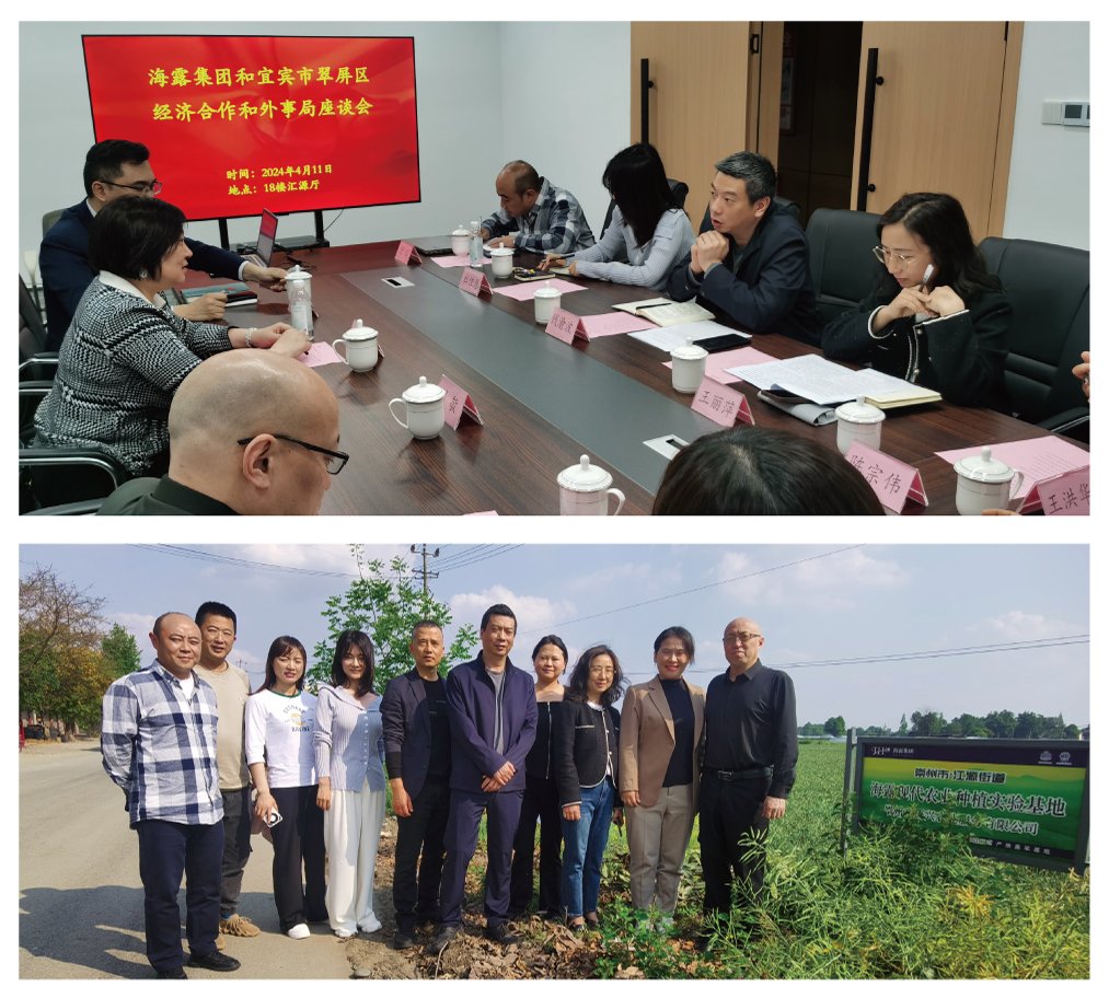 ��ҳ- �ڲ���������Ϊ��,רҵ����!