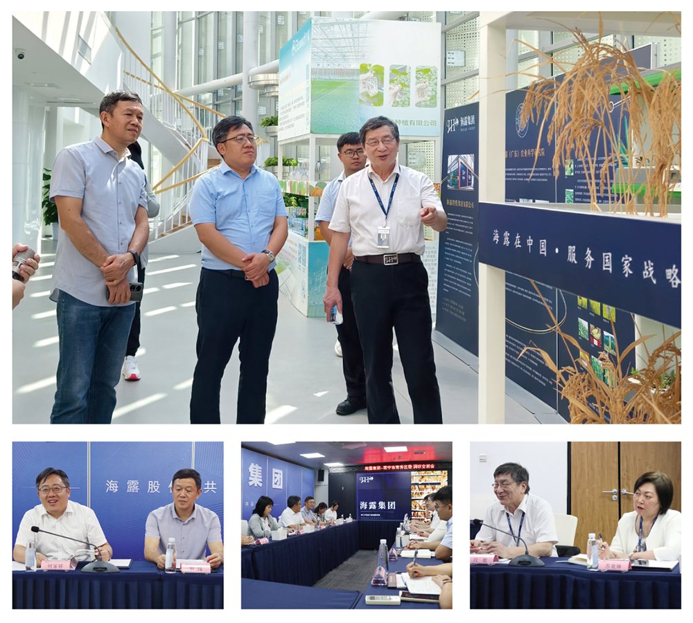 ��ҳ- �ڲ���������Ϊ��,רҵ����!