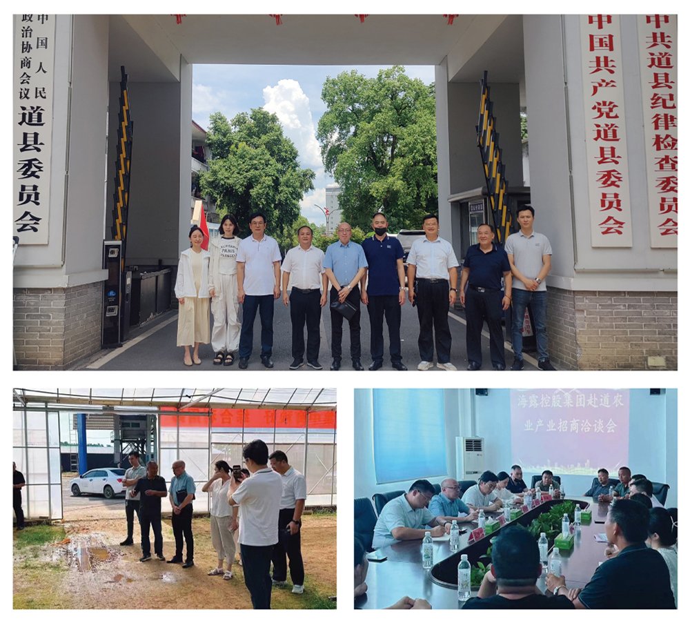 ��ҳ- �ڲ���������Ϊ��,רҵ����!