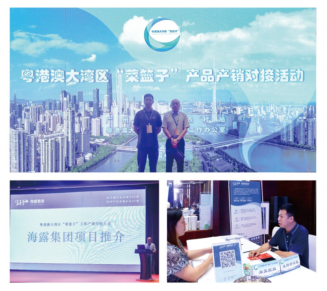 ��ҳ- �ڲ���������Ϊ��,רҵ����!