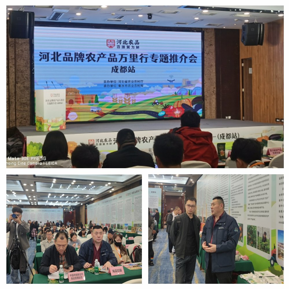 ��ҳ- �ڲ���������Ϊ��,רҵ����!