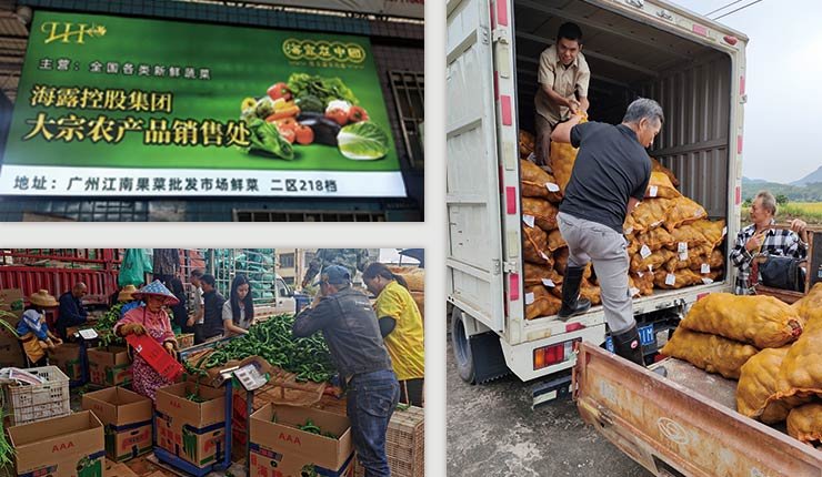 ��ҳ- �ڲ���������Ϊ��,רҵ����!