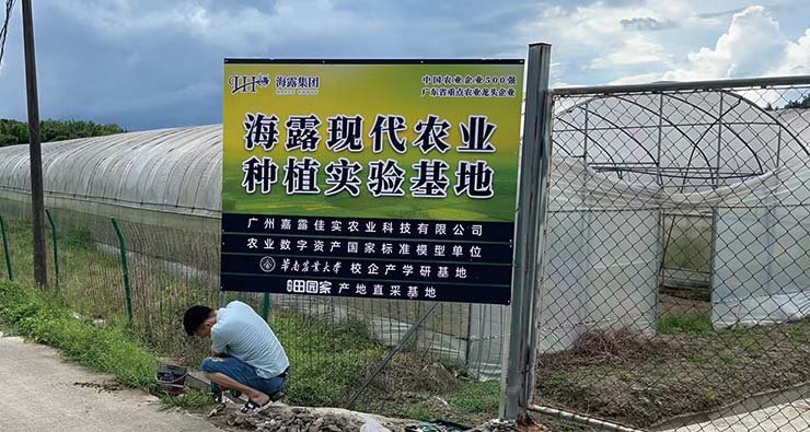 ��ҳ- �ڲ���������Ϊ��,רҵ����!