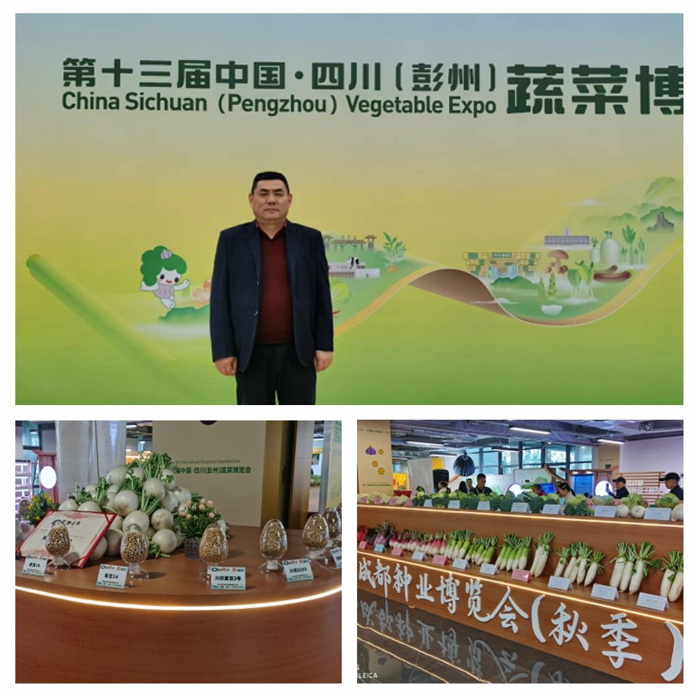 ��ҳ- �ڲ���������Ϊ��,רҵ����!