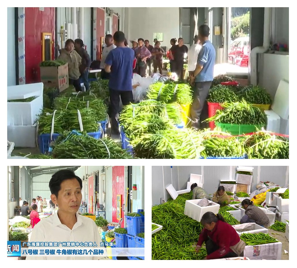 ��ҳ- �ڲ���������Ϊ��,רҵ����!