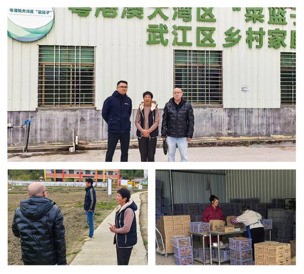 ��ҳ- �ڲ���������Ϊ��,רҵ����!