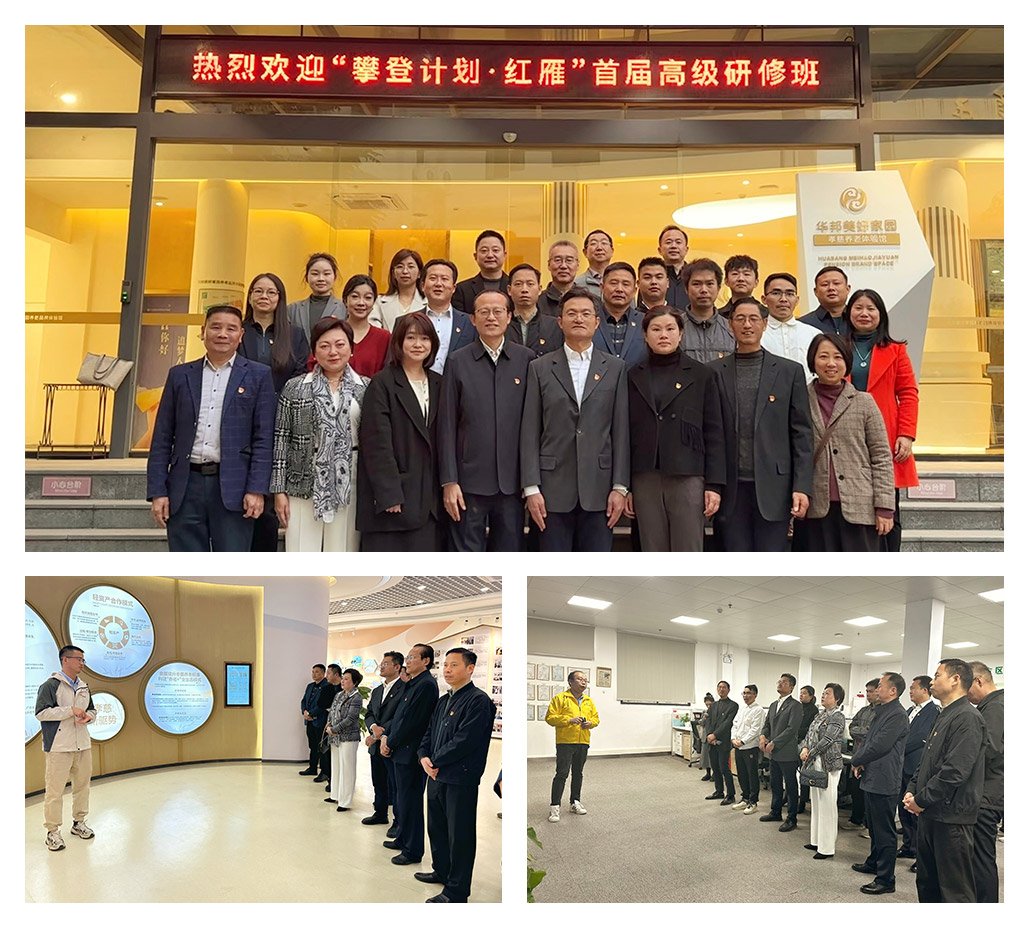 ��ҳ- �ڲ���������Ϊ��,רҵ����!