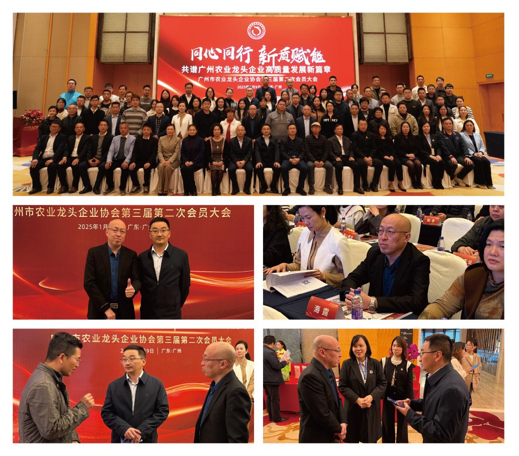 ��ҳ- �ڲ���������Ϊ��,רҵ����!