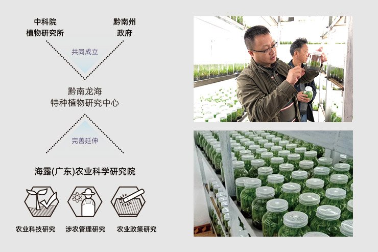 ��ҳ- �ڲ���������Ϊ��,רҵ����!