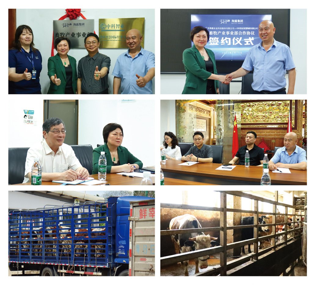 ��ҳ- �ڲ���������Ϊ��,רҵ����!