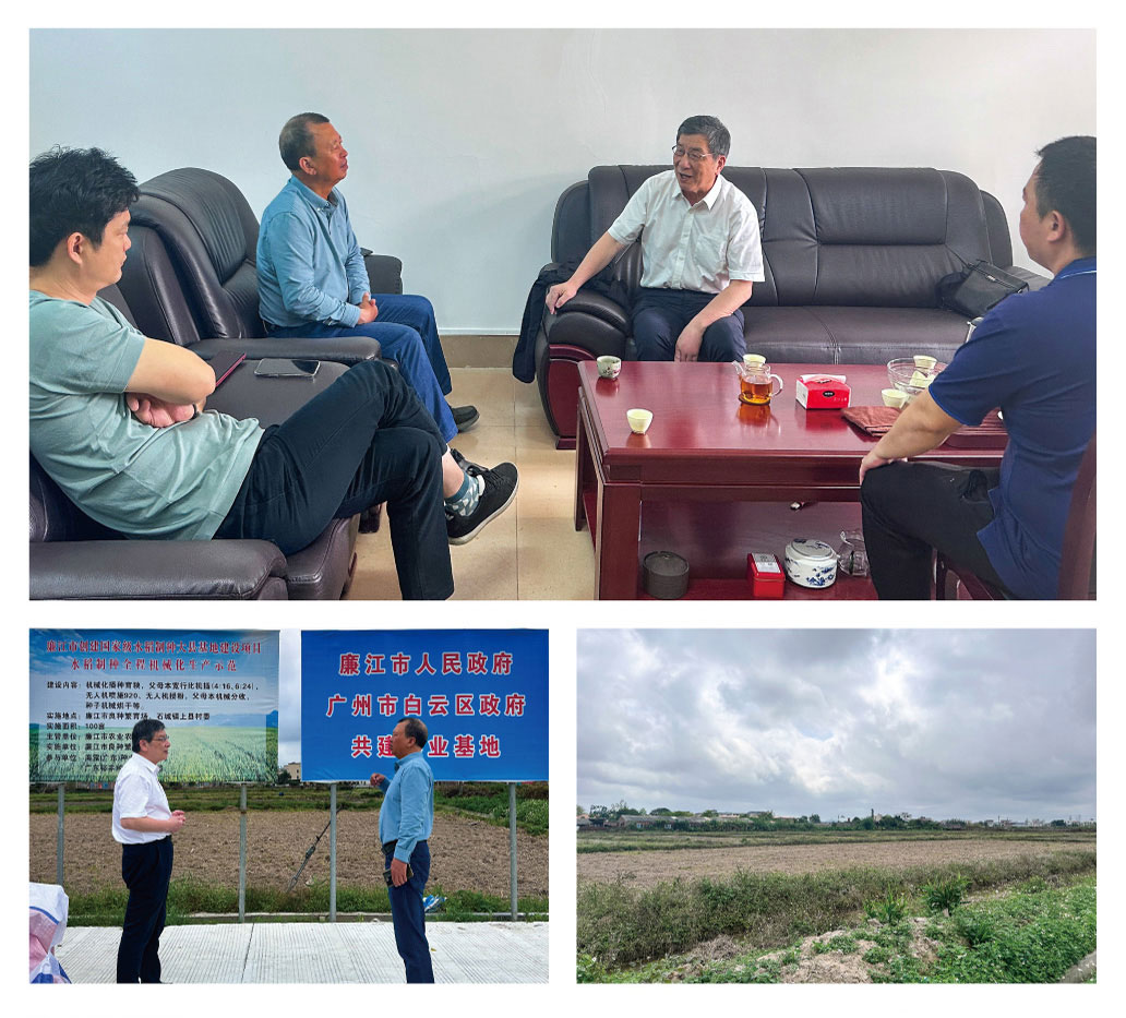 ��ҳ- �ڲ���������Ϊ��,רҵ����!