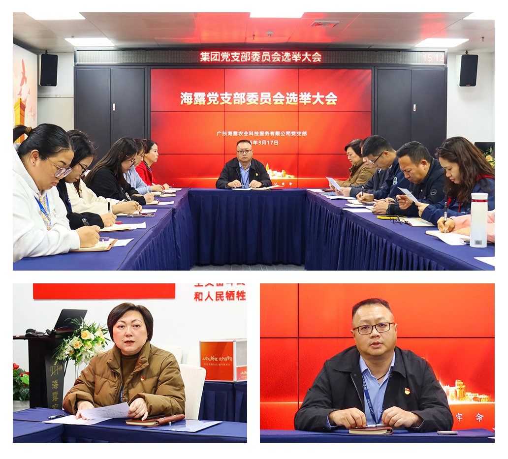 ��ҳ- �ڲ���������Ϊ��,רҵ����!