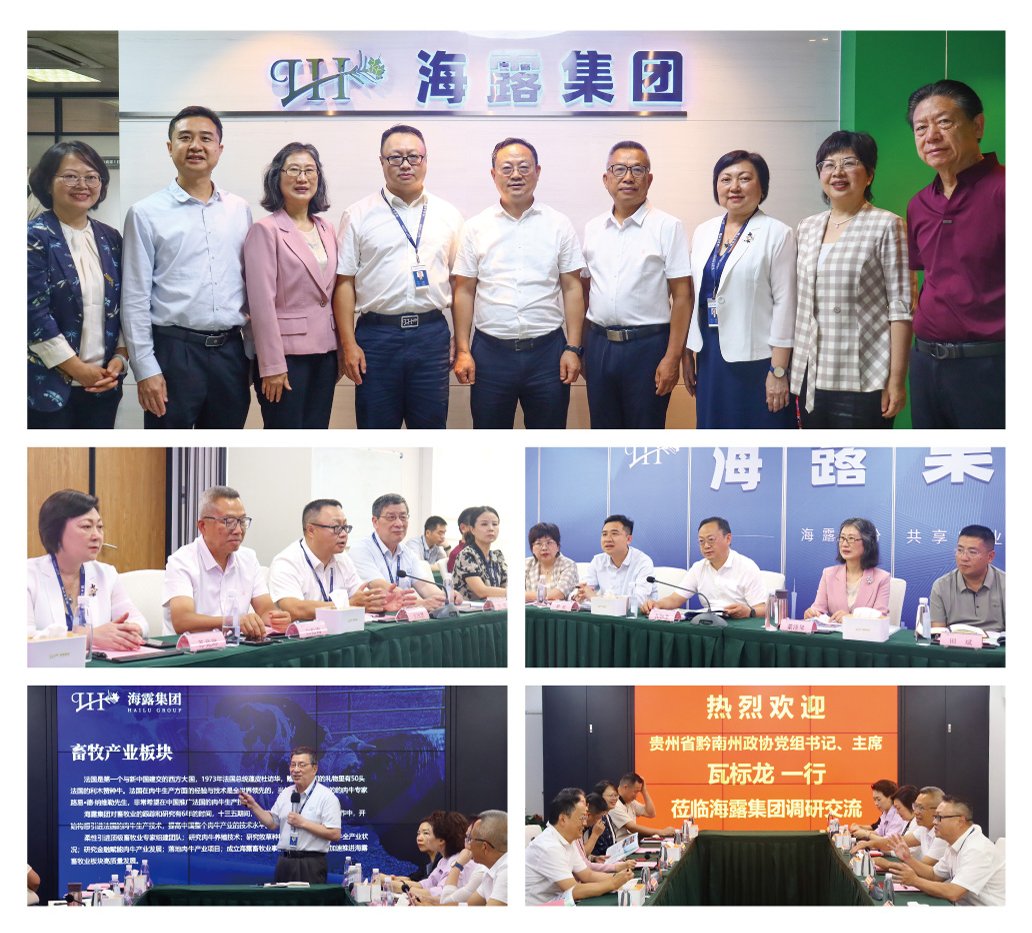 ��ҳ- �ڲ���������Ϊ��,רҵ����!