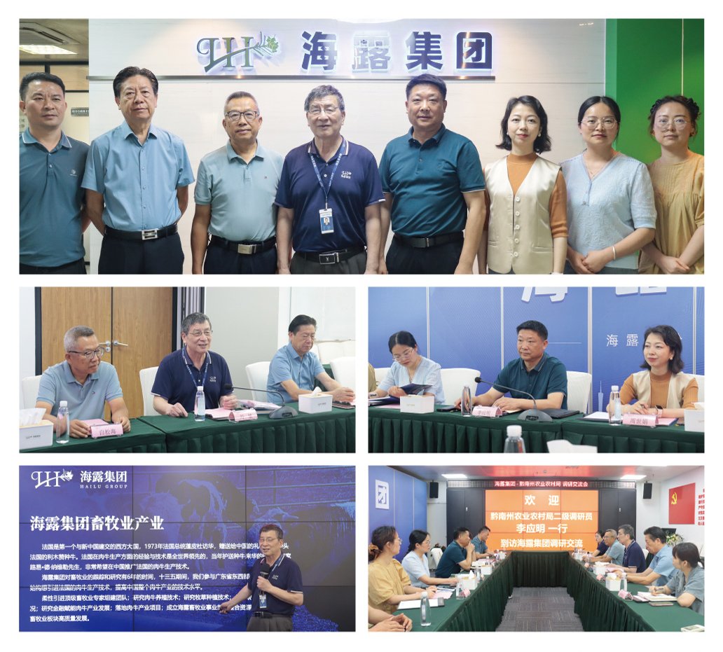 ��ҳ- �ڲ���������Ϊ��,רҵ����!