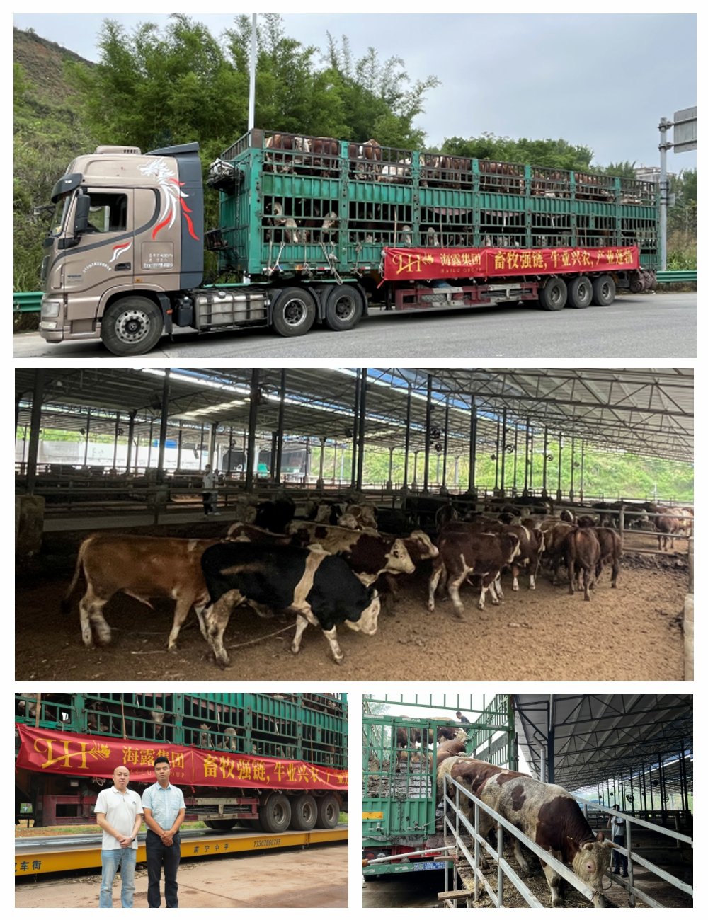 ��ҳ- �ڲ���������Ϊ��,רҵ����!