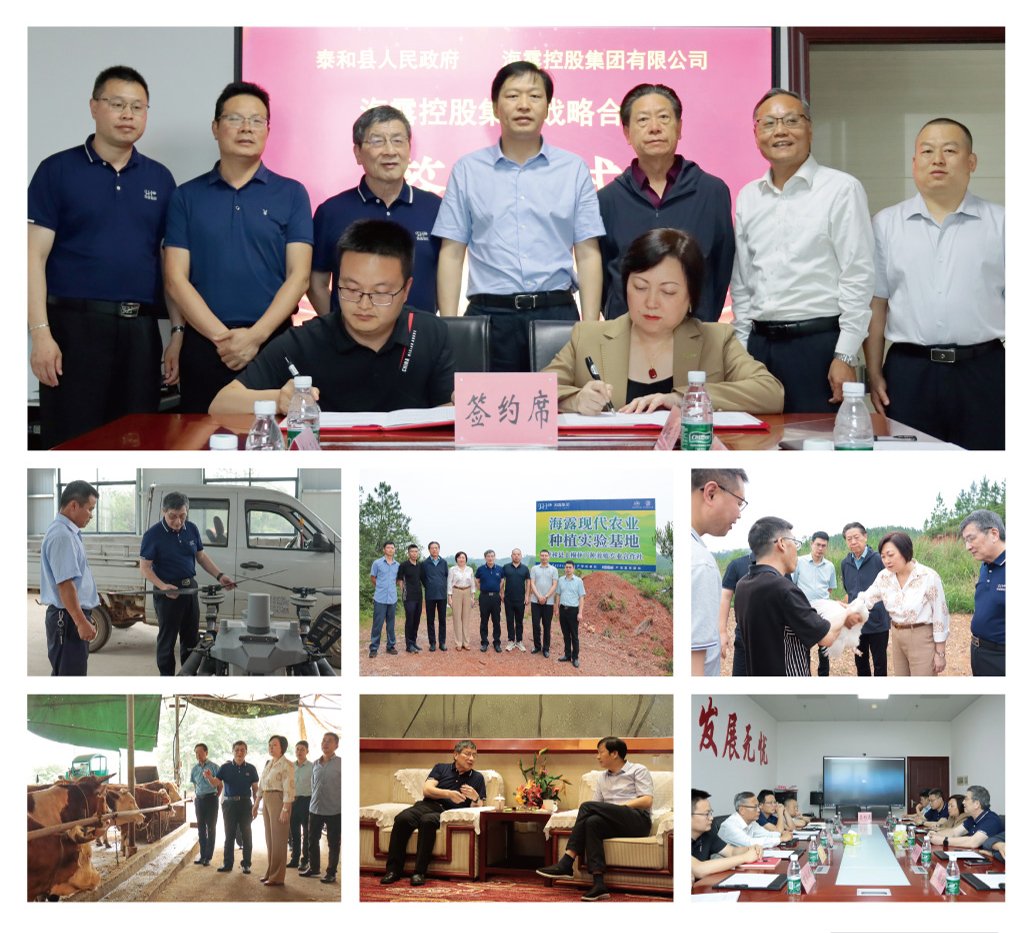 ��ҳ- �ڲ���������Ϊ��,רҵ����!