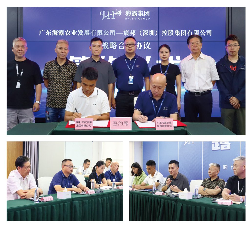 ��ҳ- �ڲ���������Ϊ��,רҵ����!