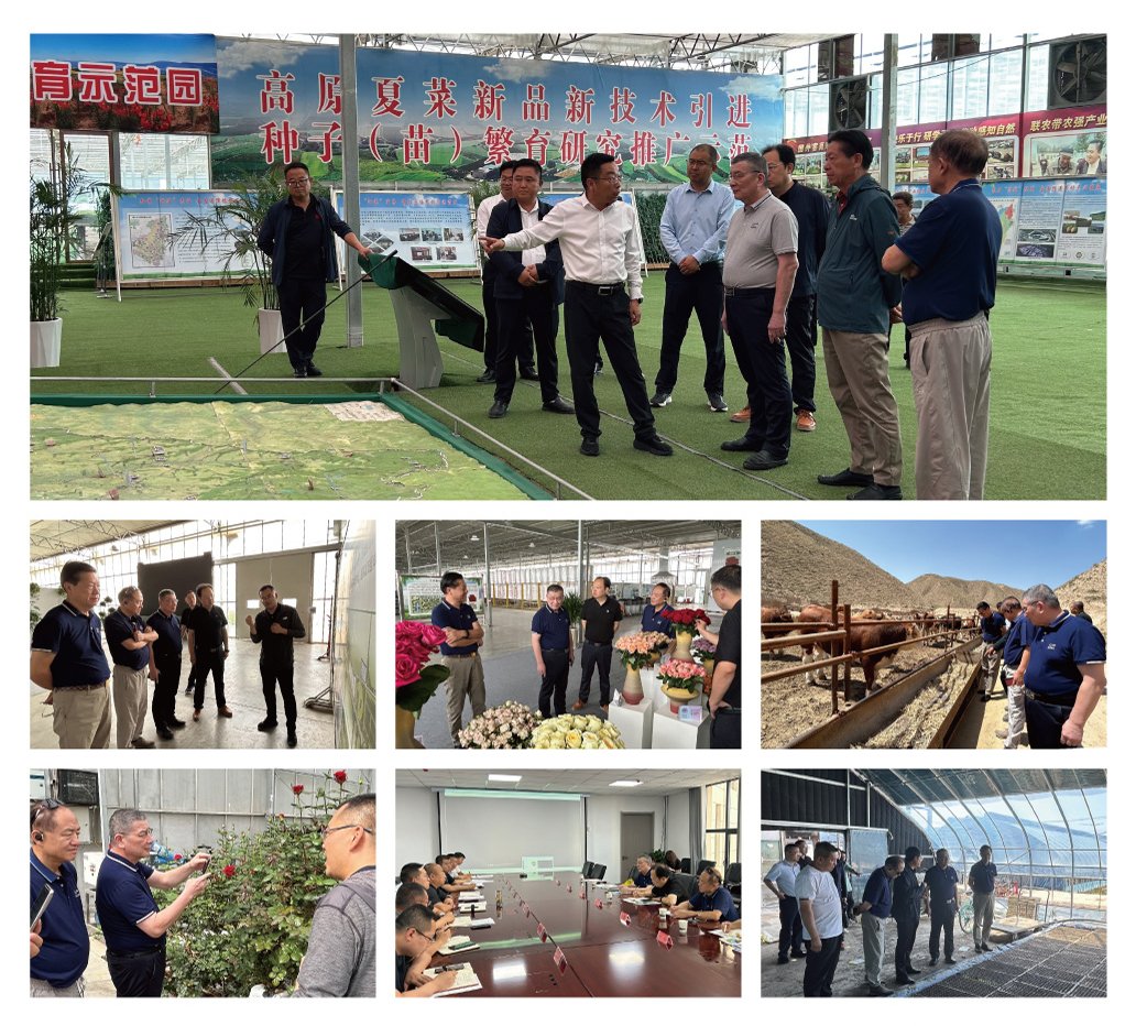 ��ҳ- �ڲ���������Ϊ��,רҵ����!