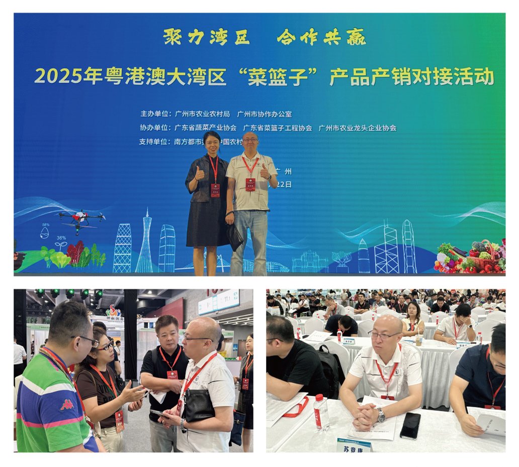 ��ҳ- �ڲ���������Ϊ��,רҵ����!