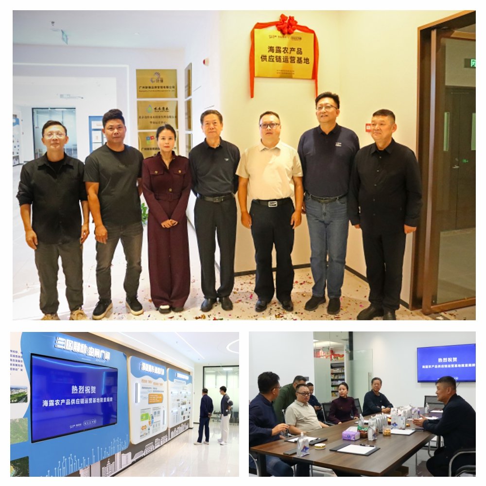 ��ҳ- �ڲ���������Ϊ��,רҵ����!