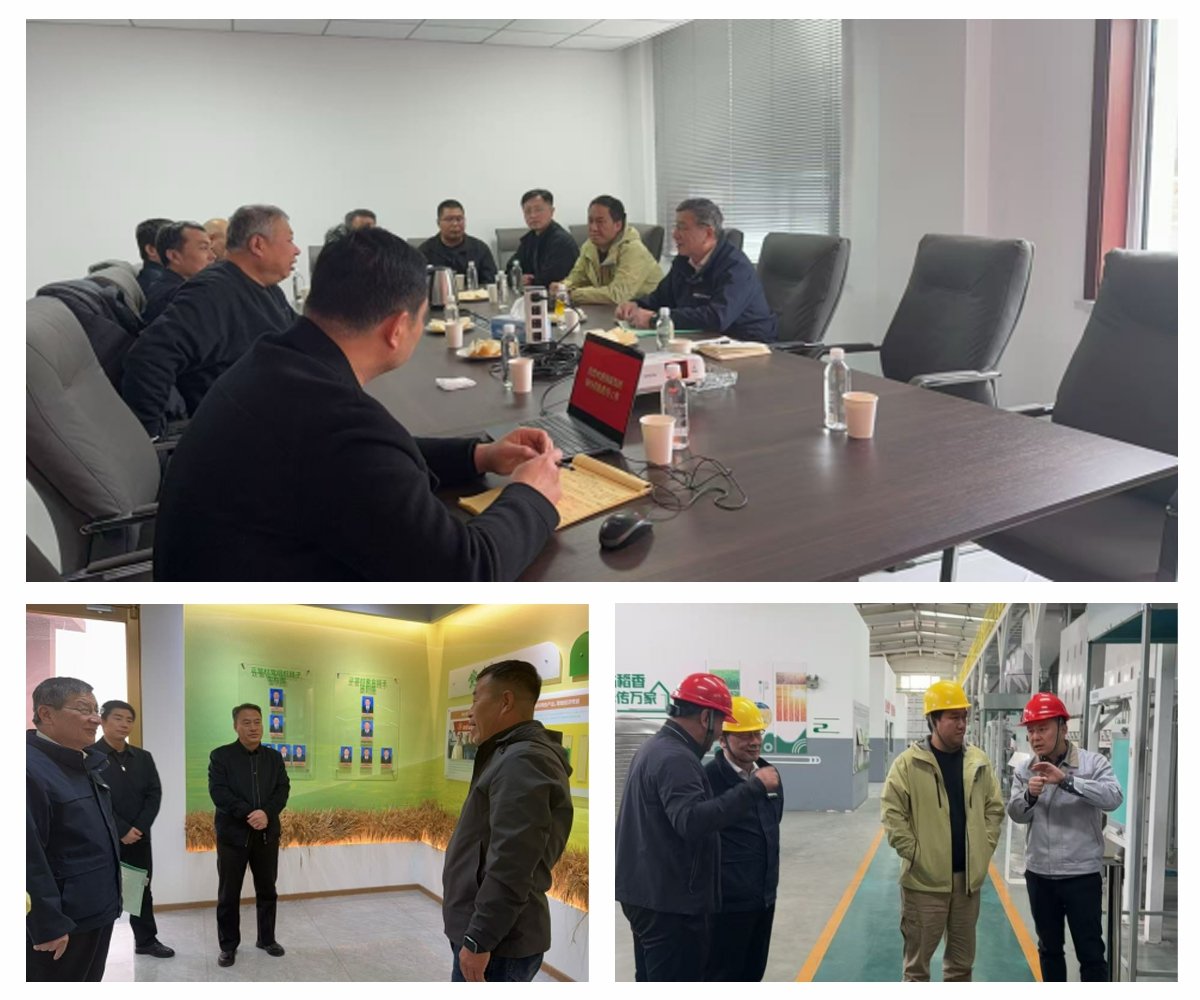 ��ҳ- �ڲ���������Ϊ��,רҵ����!