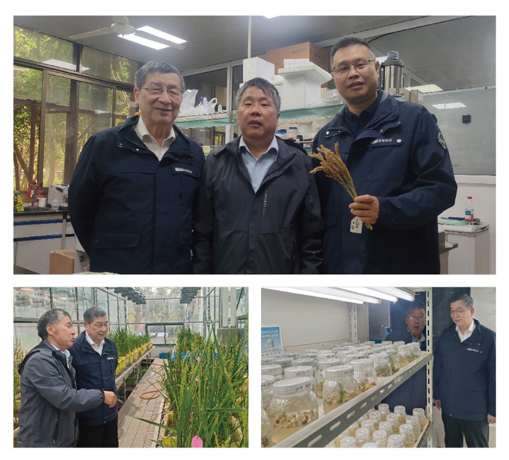 ��ҳ- �ڲ���������Ϊ��,רҵ����!