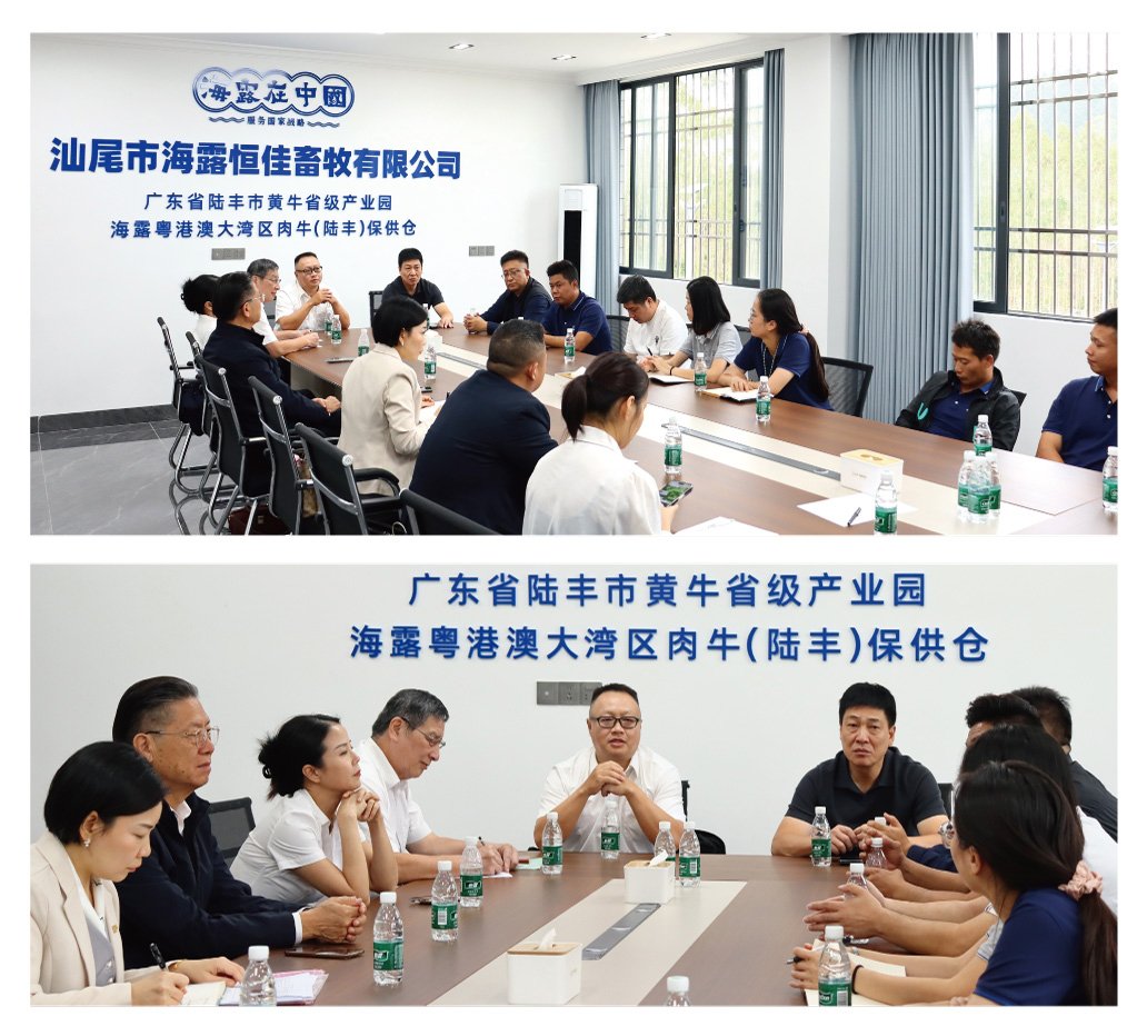 ��ҳ- �ڲ���������Ϊ��,רҵ����!