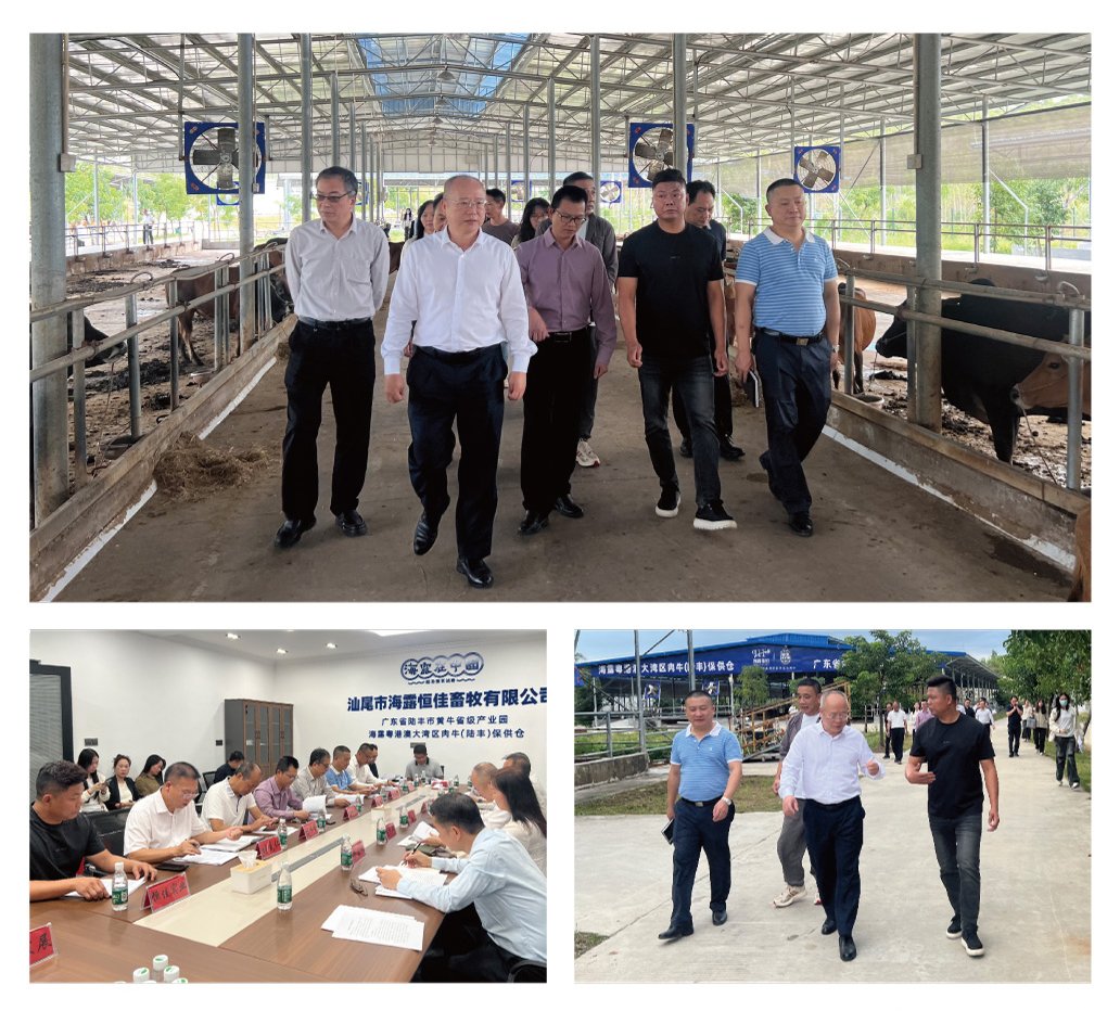 ��ҳ- �ڲ���������Ϊ��,רҵ����!