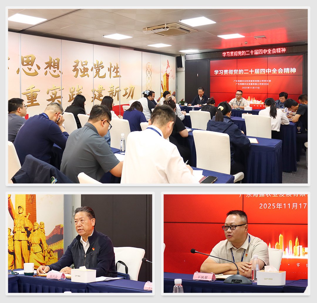 ��ҳ- �ڲ���������Ϊ��,רҵ����!