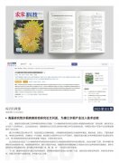 �ڲ���������Ϊ����2025��101��